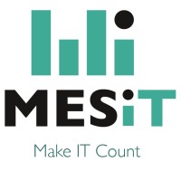 Mesit logo - Similar company to Roots