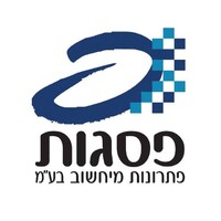 פסגות פתרונות מיחשוב בע