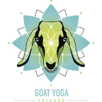 Goat Yoga Chicago logo - Similar company to Yoga With Cat