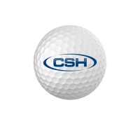 Chisum Sports and Hospitality logo - Similar company to Events By M, Ltd