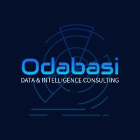 Odabasi Data & Intelligence Consulting logo - Similar company to Nihat Odabaşı Studio