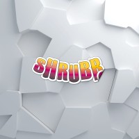 Studio Shrubb logo - Similar company to Admin'Experts