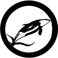 NordlightX logo - Similar company to Toca Boca Life