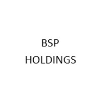 BSP Holdings logo - Similar company to Am2 Architects