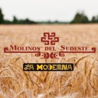 Molinos Del Sudeste S.A. de C.V. logo - Similar company to Traficiudad