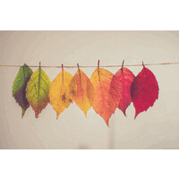 Turning Leaf Behavioral Health Services logo - Similar company to Turning Leaf Editorial