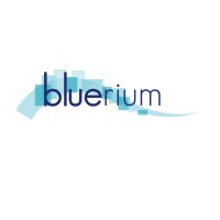 BLUERIUM SAS logo - Similar company to Polyestershoppen Bv