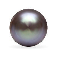 Pearl logo - Similar company to Centralcharts