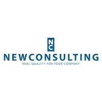 Newconsulting Srls logo - Similar company to Brweb