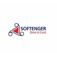 Softenger Malaysia logo - Similar company to Headfirst Group Limited