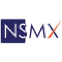 NS Matrix Services Pvt. Ltd. logo - Similar company to E2E Research - Enigma To Enlightenment