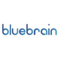 BlueBrain logo - Similar company to Bluebrain Software