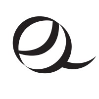 EQademy logo - Similar company to Mpgroup