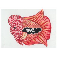 Wild Fish Aquatics logo - Similar company to S.S Aquatics