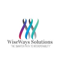WiseWays Solutions logo - Similar company to Ziptest