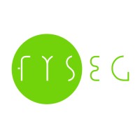 FYSEG (Fulcrum y Sers Engineering Group) logo - Similar company to Alma Componentes