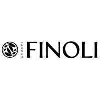 FINOLI logo - Similar company to B2C Advisors
