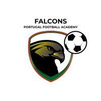 Falcons - Portugal Football Academy logo - Similar company to Escola De Futebol - A Escolinha Do Figo