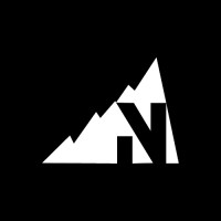 Nelstone Consulting logo - Similar company to Badgerland Idealease
