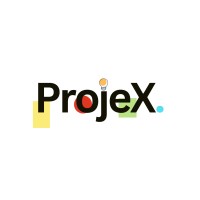 ProjeX logo - Similar company to Sundahub