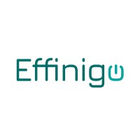 Effinigo logo - Similar company to Sofia Part Of Iseo
