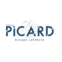 Picard Solutions logo - Similar company to Bruhat