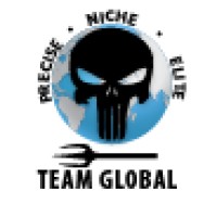 Team Global Security Solutions Pvt. Ltd. logo - Similar company to Claw Global