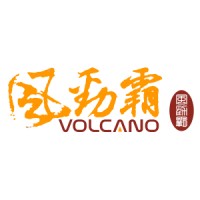 All First Group logo - Similar company to Isolda Ab