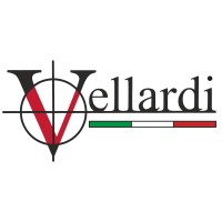 Vellardi logo - Similar company to Binoculars Consultancy