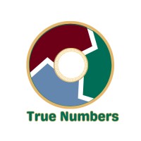 True Numbers logo - Similar company to Truenumbers