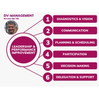 DV-Management logo - Similar company to Acquire And Integrate Ltd