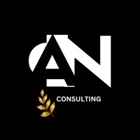 AN Consulting logo - Similar company to Configured Solutions