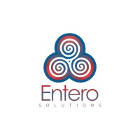 Entero Emergency Management Consulting, Inc. (DBA: Entero Solutions) logo - Similar company to Pmo Advisory