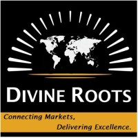 Divine Roots International logo - Similar company to Steindal Wholesale