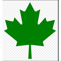 Turtle Island Power Inc logo - Similar company to Sustainability Green Industry