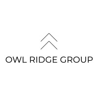 Owl Ridge Group logo - Similar company to Owl Consultancy Group