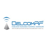 DelcomRF Radio&IT El.&Electronic Defense Industry Inc. logo - Similar company to Vioragame