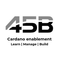 45B - Cardano Enablement logo - Similar company to Advanced Capital Management