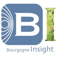 Bourgogne Insight 🧱 logo - Similar company to Assist-Ant (Virtual Assistant)