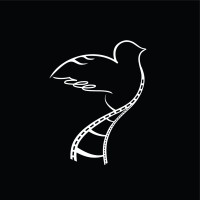 Free Bird Productions logo - Similar company to Digital Fixaters | Digital Marketing| Web Development