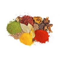 Spice Land Group logo - Similar company to Spice Pharm Inc.