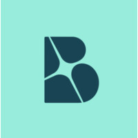 Blyver logo - Similar company to Bayrock Network