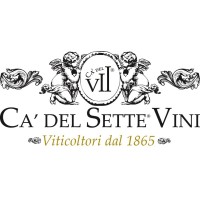 CA' DEL SETTE logo - Similar company to Secoton Wine Group