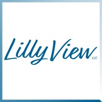 Lilly View Brand Consulting
