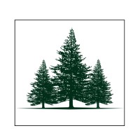 Cedrus One logo - Similar company to Cap M Group Limited