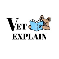 VetExplain logo - Similar company to Senior Dog Veterinary Society