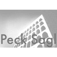 Peck Sagl logo - Similar company to Rocca & Partners