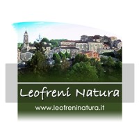 Leofreni Natura logo - Similar company to Refinement With Aggression