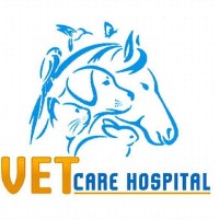Vet Care Hospital logo - Similar company to Vet Bus