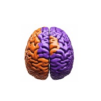 Higher Mind logo - Similar company to Crossroads Jerusalem